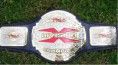 tna_x_divison_championship.jpg